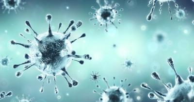 koronavirus