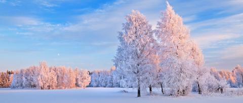 KUNTATIEDOTE                                     18.12.2023       Joulunajan jätehuolto ja aukioloajat  Joulun ja uudenvuoden vietto vaikuttavat jäteastioiden tyhjennysaikatauluihin ja Vestian toimipisteiden sekä asiakaspalvelun aukioloon.  Jäteastioiden tyhjennykset Kannus, Sievi ja Toholampi:  Joulupäivälle 25.12. osuvat jäteastiatyhjennykset suoritetaan jo edeltävän viikon lauantaina 23.12. Tapaninpäivänä 26.12. ja loppuviikolla jäteastiat tyhjennetään normaalisti. Uudenvuodenpäivälle 1.1. osuvat tyhjenn